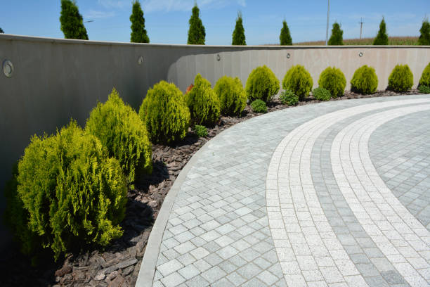 Best Driveway Repair Near Me  in Grand Terrace, CA